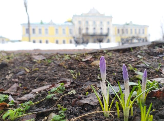 Сад Тверского императорского дворца открыт для посетителей