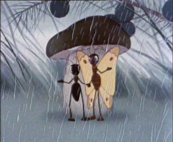 Воскресенье в Тверской области будет дождливым