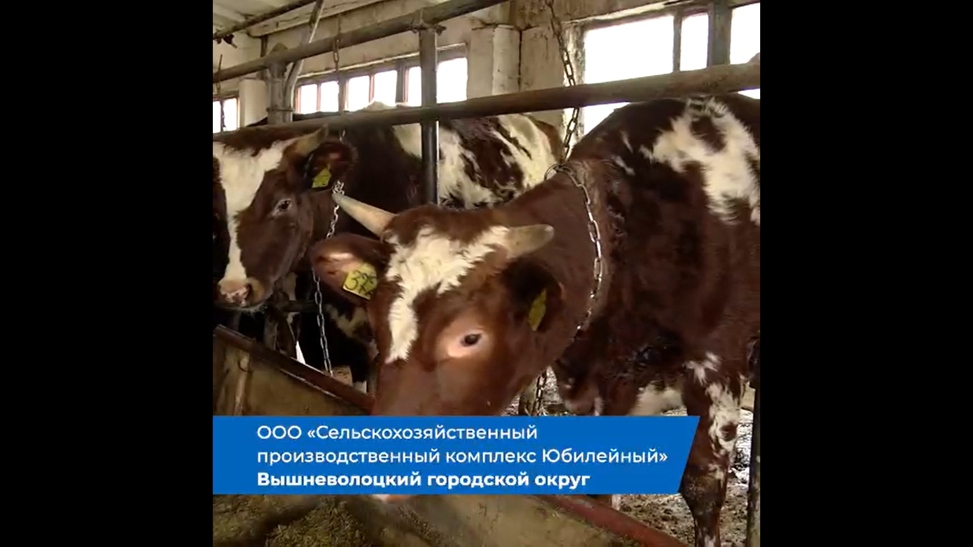 Предприятия Верхневолжья продолжают участвовать в флешмобе «Мы Работаем» Предприятия Верхневолжья продолжают участвовать в флешмобе «Мы Работаем»