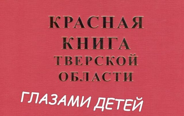 В Тверской области подвели итоги конкурса «Красная книга Тверской области глазами детей» В Тверской области подвели итоги конкурса «Красная книга Тверской области глазами детей»