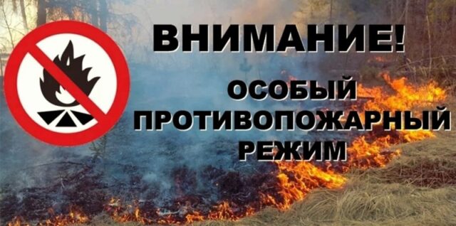 Особый противопожарный режим начал действовать в Бологовском районе Особый противопожарный режим начал действовать в Бологовском районе
