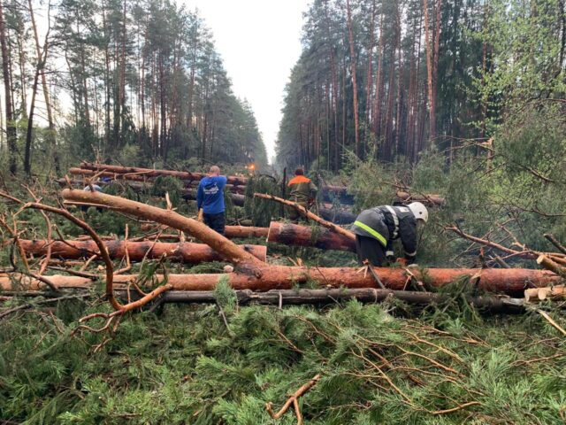 Сотрудники «Россети Центр» и «Россети Центр и Приволжье» ликвидируют последствия штормового ветра в регионах ЦФО