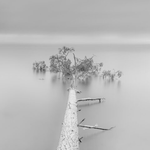 В библиотеке Горького открылась фотовыставка "Без следа"