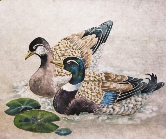 Жителей Твери приглашают нарисовать пару прелестных уточек Жителей Твери приглашают нарисовать пару прелестных уточек