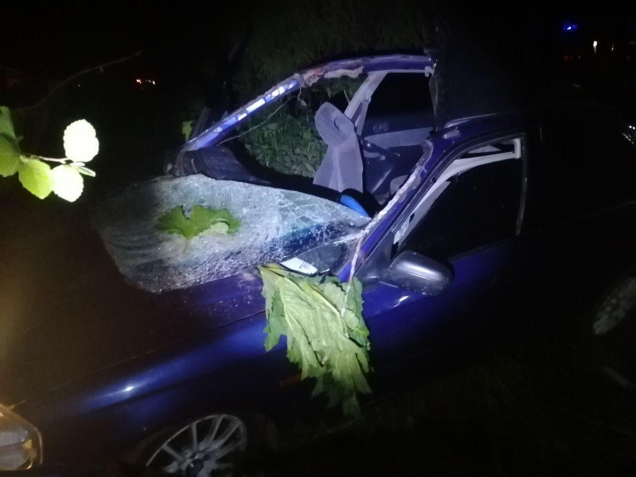 В Тверской области молодой водитель попал в больницу после встречи с лосем В Тверской области молодой водитель попал в больницу после встречи с лосем