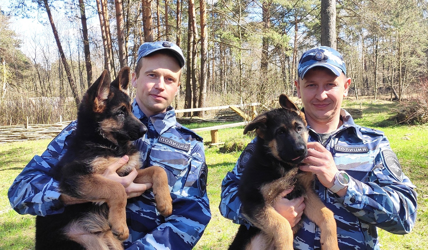 В тверском кинологическом центре УМВД пополнение В тверском кинологическом центре УМВД пополнение