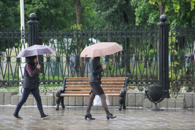 В Тверской области ожидается дождливая неделя В Тверской области ожидается дождливая неделя