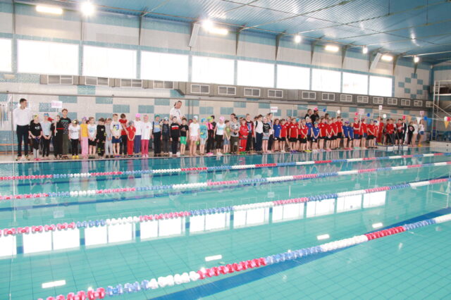 В Нелидове проходят Межмуниципальные соревнования по плаванию