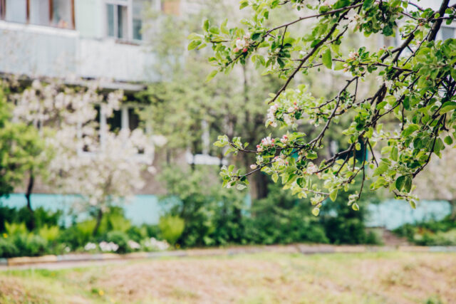 Праздничные выходные в Тверской области начнутся с прекрасной погоды