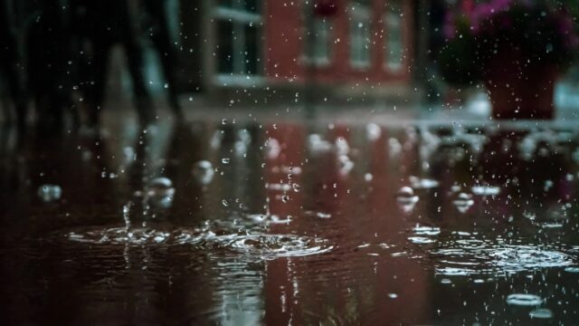 В субботу в Тверской области станет прохладнее и пройдут дожди