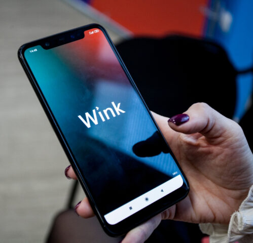 100% российский: Wink попал в реестр отечественного программного обеспечения