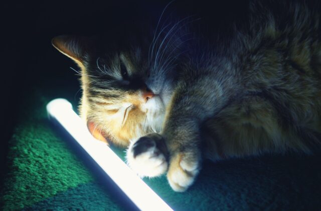 В Тверской области продолжается плановое отключение света 22 июня: где в Тверской области не будет света