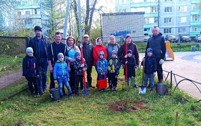 В Лихославле малыши высадили ели, сосны и березы В Лихославле малыши высадили ели, сосны и березы