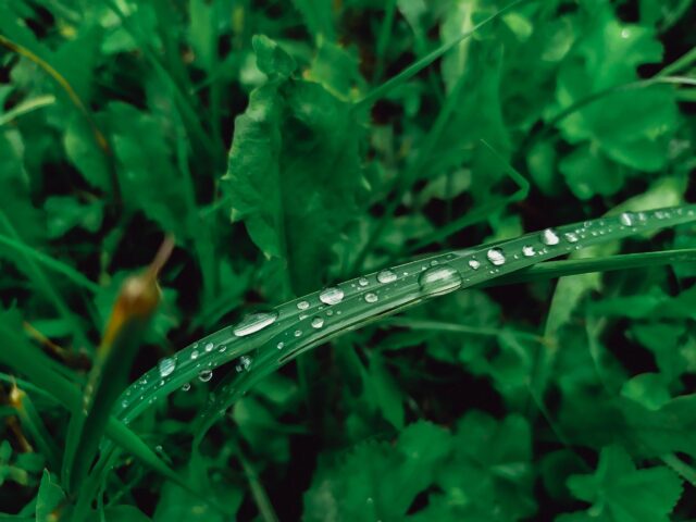 В Тверской области ожидается небольшой дождь В пятницу в Тверской области ожидается дождь