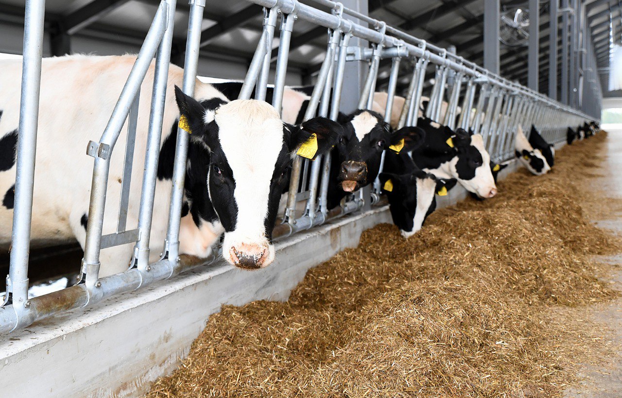 В Тверской области приняты решения, направленные на поддержку сельхозпроизводителей