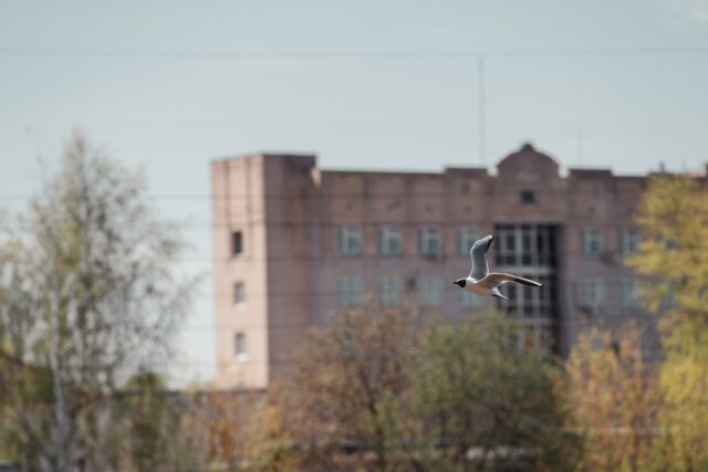 В пятницу в Тверской области потеплеет