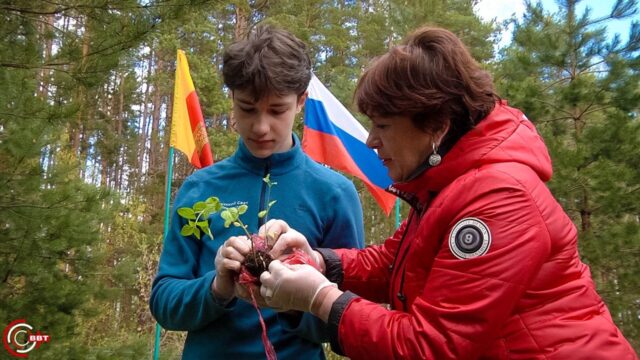 В Вышневолоцком округе прошла акция "Сад памяти" В Вышневолоцком округе прошла акция "Сад памяти"