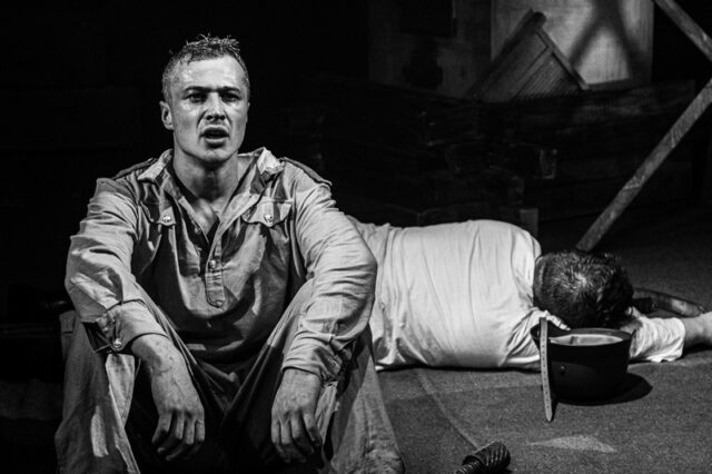 В честь 9 мая Тверской театр драмы приглашает на спектакль "Василий Тёркин"