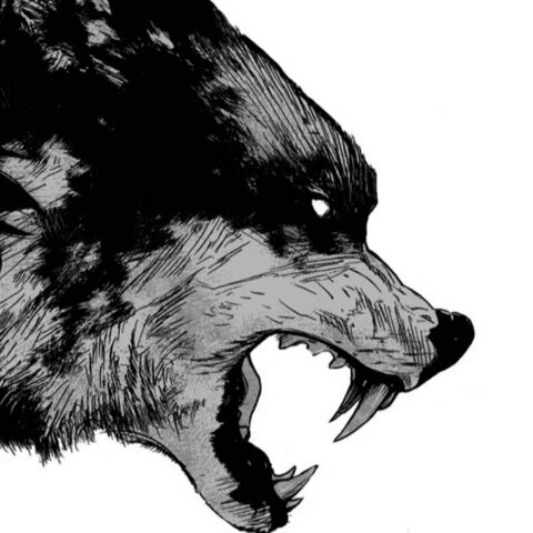 Управление Россельхознадзора сообщило о случаях бешенства в Тверской и Ярославской областях