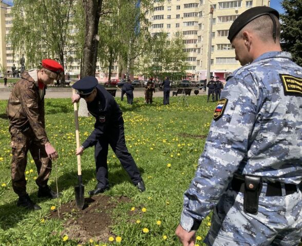 Судебные приставы высадили деревья у памятника «Договор Тысяч» в Твери Судебные приставы высадили деревья у памятника «Договор Тысяч» в Твери