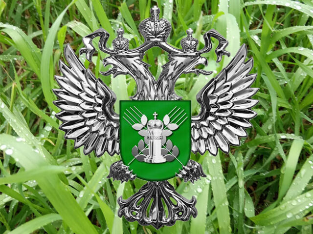 В Тверской области Россельхознадзор в 2022 году выдал 98 предостережений В Тверской области Россельхознадзор в 2022 году выдал 98 предостережений