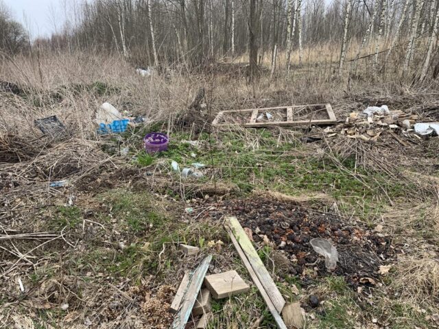 В Тверской области с начала года выявлено 7 свалок на сельхозугодьях