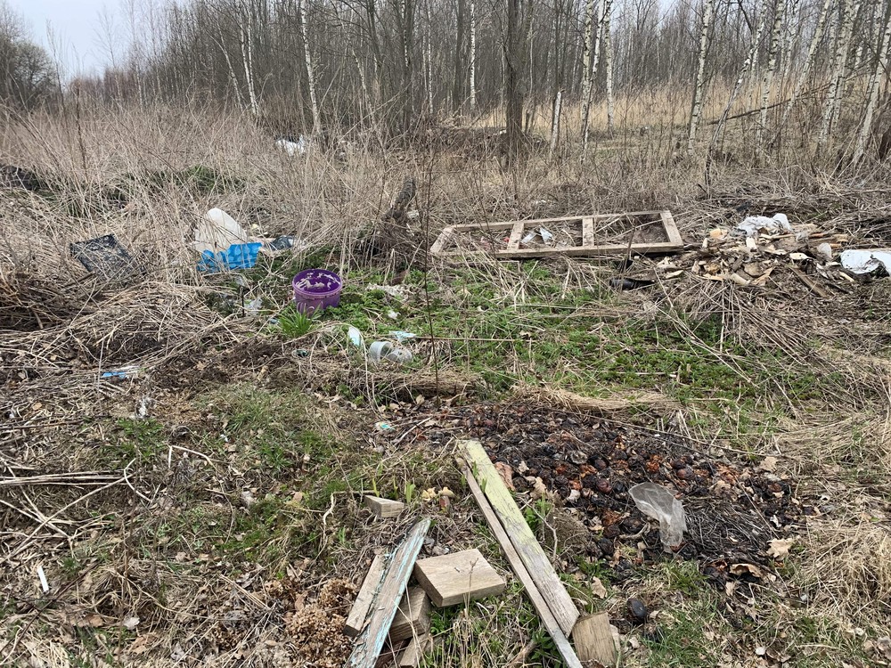 В Тверской области с начала года выявлено 7 свалок на сельхозугодьях В Тверской области с начала года выявлено 7 свалок на сельхозугодьях