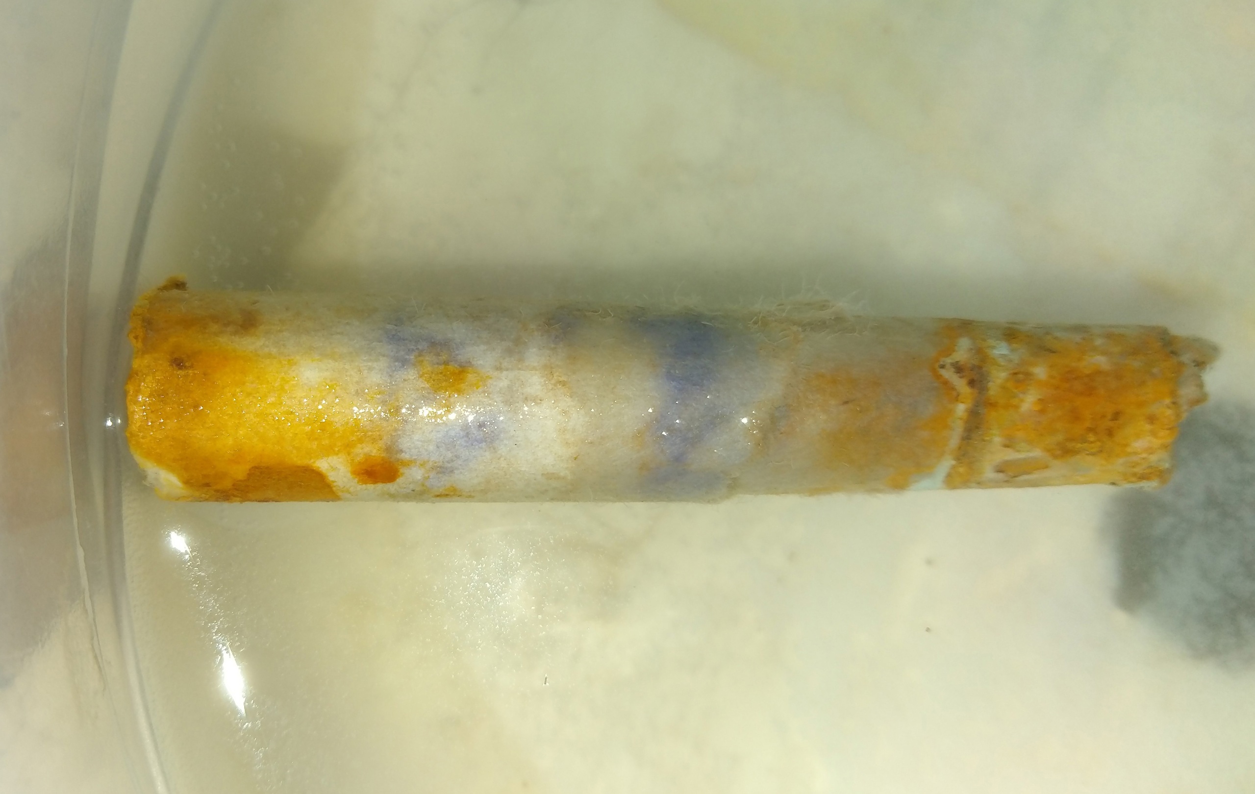 Поисковики нашли родных красноармейца, обнаруженного в Ржевском районе Поисковики нашли родных красноармейца, обнаруженного в Ржевском районе