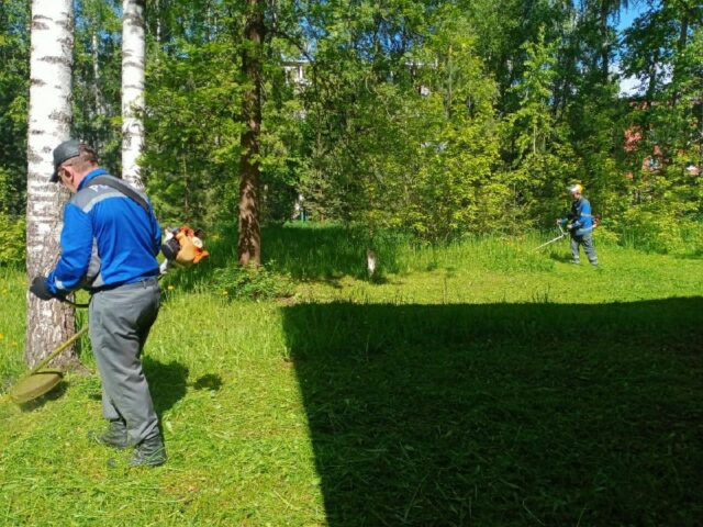 Энергетики Тверьэнерго провели субботник на территории подшефного детского противотуберкулёзного санатория