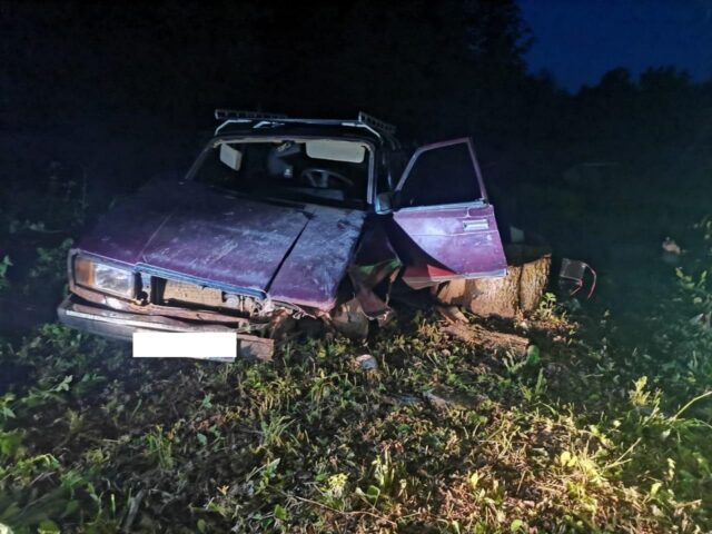 В Тверской области легковушка протаранила пень