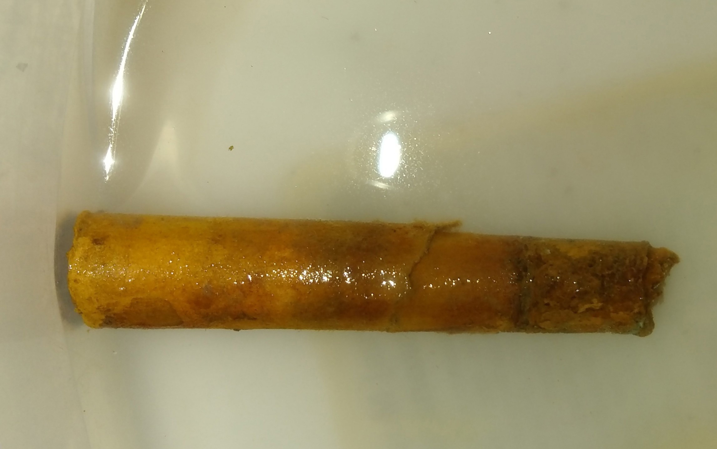 Поисковики нашли родных красноармейца, обнаруженного в Ржевском районе Поисковики нашли родных красноармейца, обнаруженного в Ржевском районе