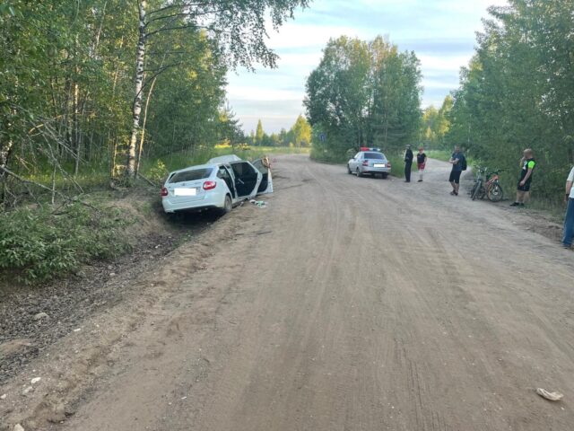 В Тверской области Лада Гранта съехала в кювет