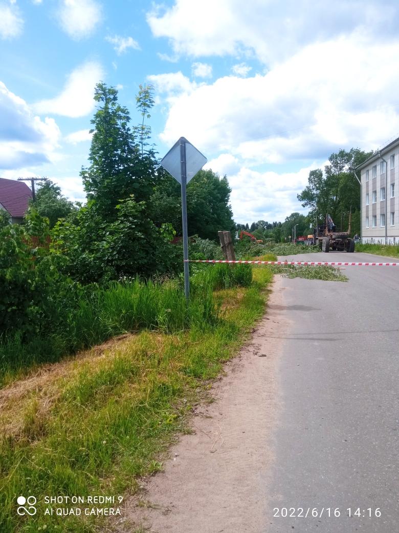 В Западной Двине приступили к благоустройству общественной территории на улице Ленина В Западной Двине приступили к благоустройству общественной территории на улице Ленина