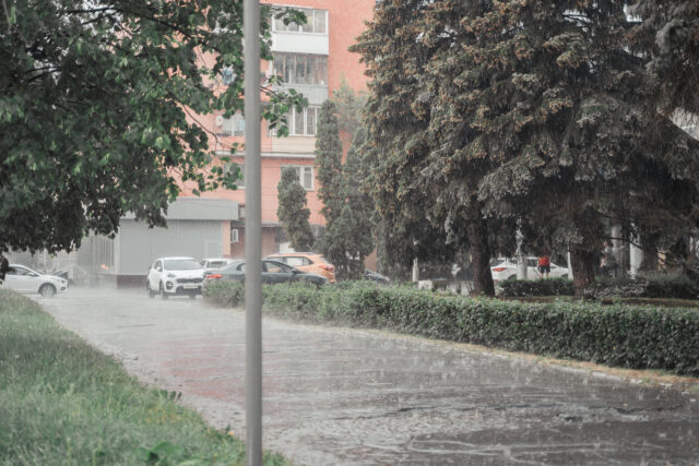 Жителей Тверской области предупредили об усилении ветра при грозе