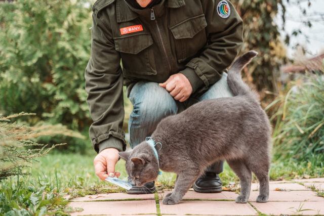 В Твери мужчина нашел чужую карту и купил себе алкоголь и настойки В Твери мужчина нашел чужую карту и купил себе алкоголь и настойки