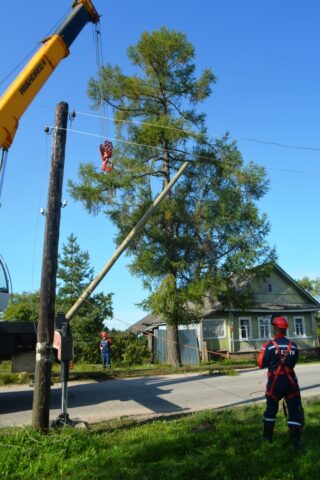 Жители деревни Щелкачёво поблагодарили специалистов Тверьэнерго за оперативную замену опор ЛЭП