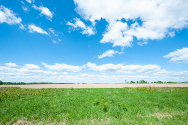 Жаркая погода задержится в Тверской области Жаркая погода задержится в Тверской области