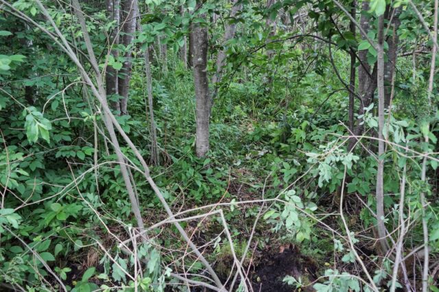 В Тверской области предъявили обвинение мужчине, который убил и изнасиловал 18-летнюю девушку