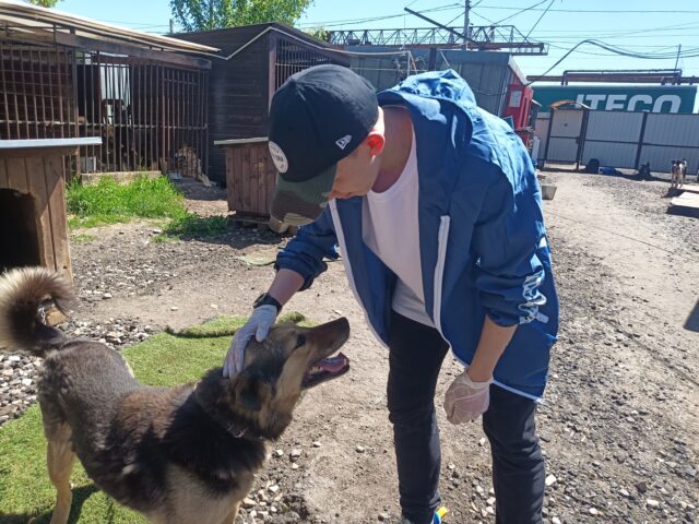 Волонтеры доставили продукты в тверской приют для животных