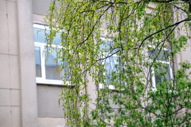 В Тверской области погиб 2-летний ребенок, который выпал из окна