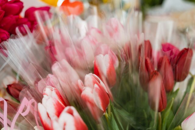 В Твери труженице тыла Марии Ивановне Макаровой исполнилось 102 года