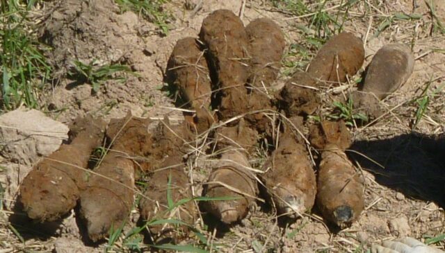 В Ржевском районе обезвредили 14 мин времен Великой Отечественной войны