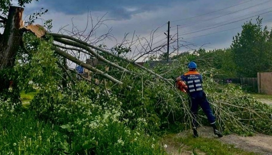 В Тверской области сотрудники МЧС убрали упавшие из-за непогоды деревья В Тверской области сотрудники МЧС убрали упавшие из-за непогоды деревья
