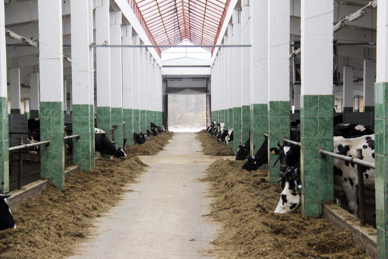 В АПК Тверской области осуществляют и планируются к исполнению 17 инвестиционных проектов