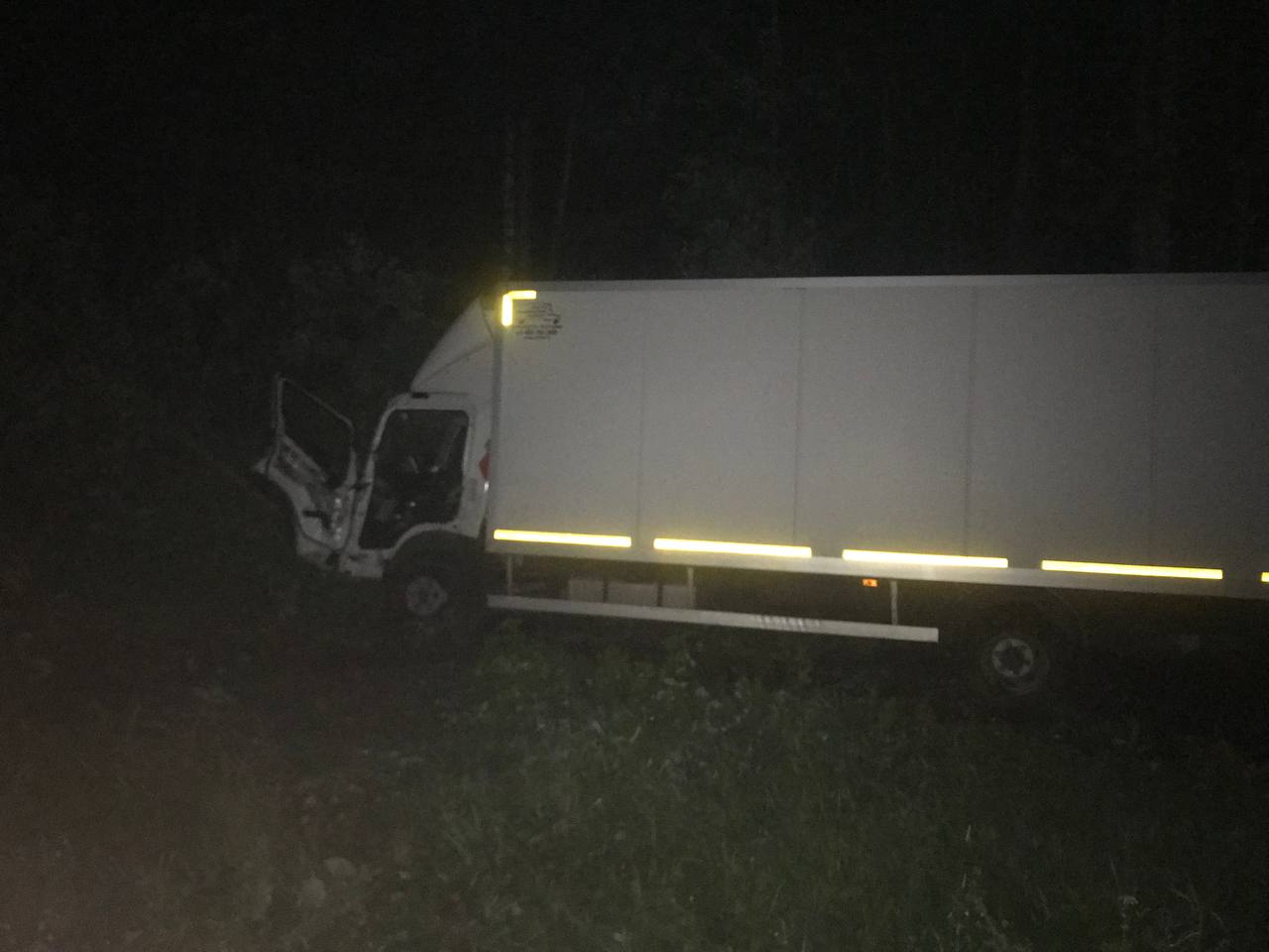 В Тверской области ночью грузовик сбил лося