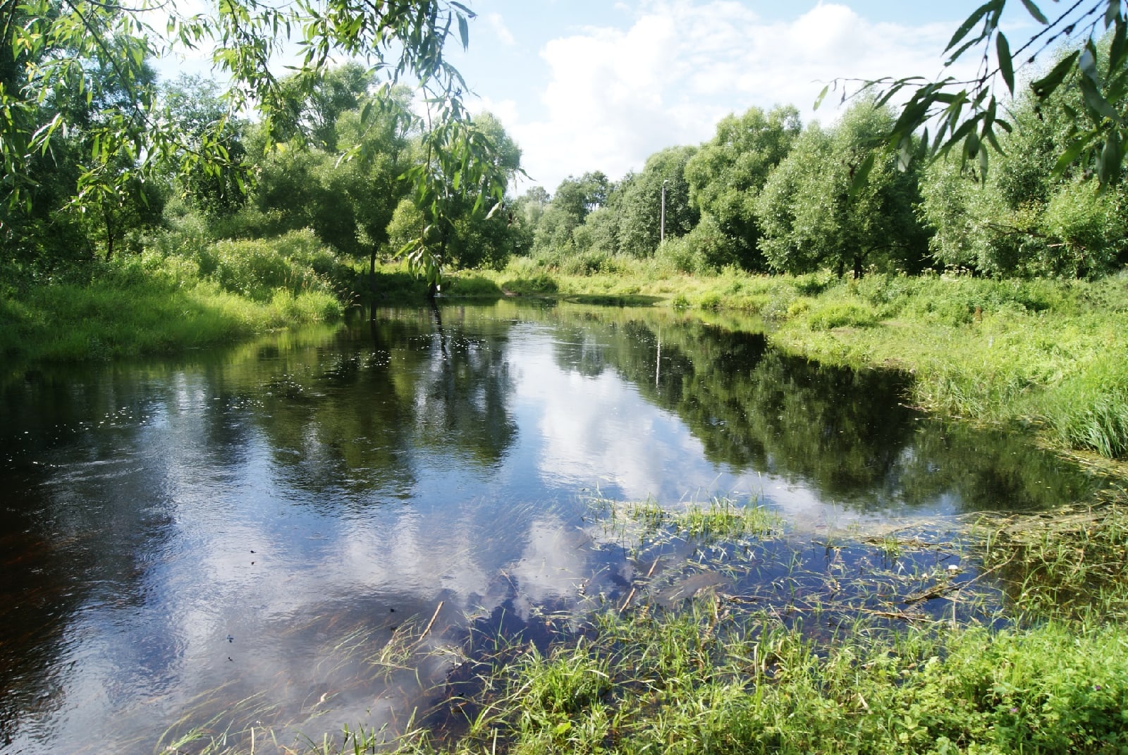 19-летний парень утонул в реке в Тверской области В одном из водоемов Тверской области утонул человек