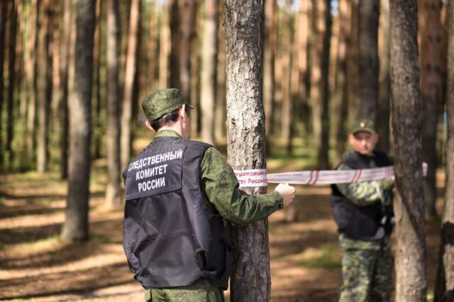 В Бежецком районе вальщик леса случайно убил коллегу