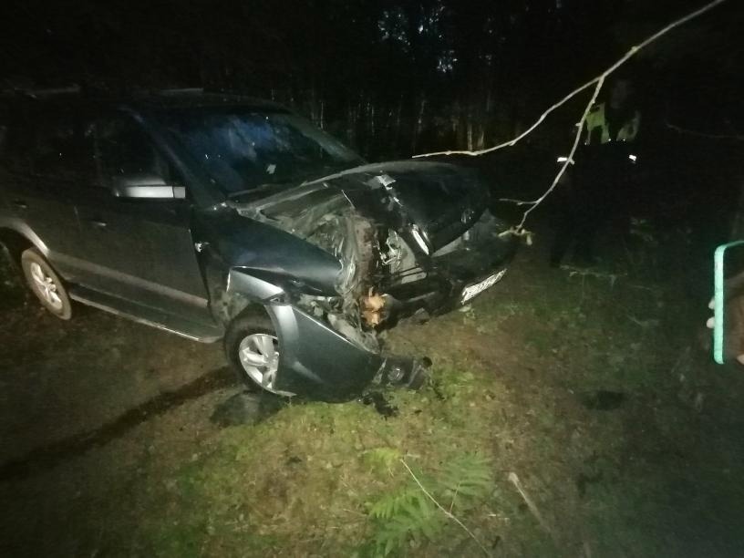 В Тверской области автомобиль врезался в дерево из-за лося В Тверской области автомобиль врезался в дерево из-за лося