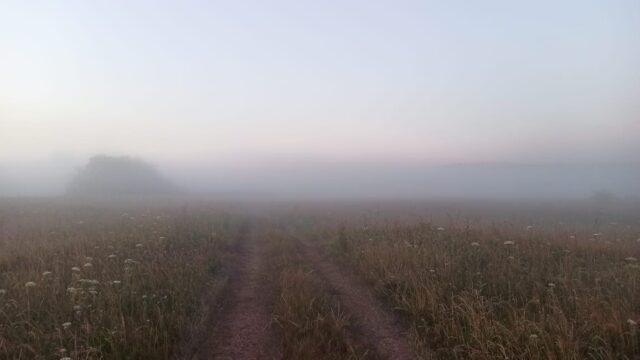 Под Тверью состоится ночной трейл Под Тверью состоится ночной трейл