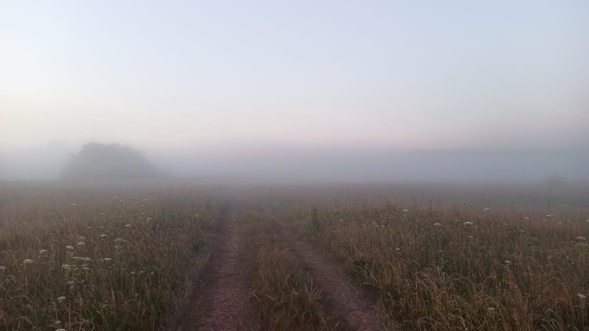 Под Тверью состоится ночной трейл Под Тверью состоится ночной трейл